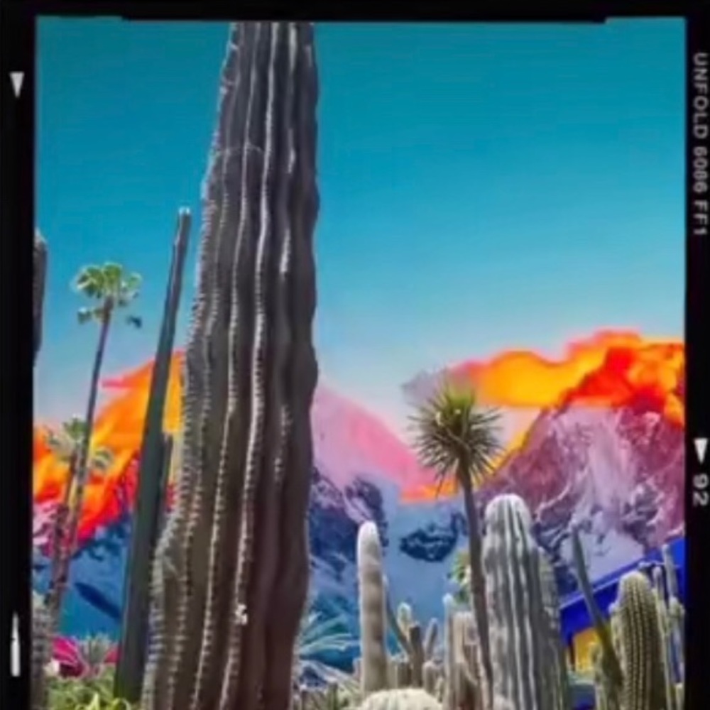 Meet your Posher, Sophia